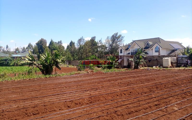kikuyu